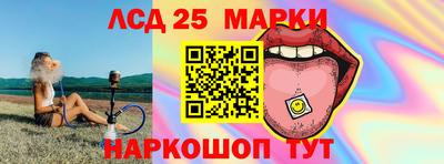 спиды Кингисепп