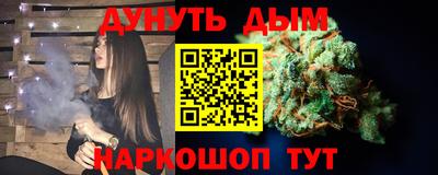 спиды Кингисепп