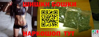 спиды Кингисепп