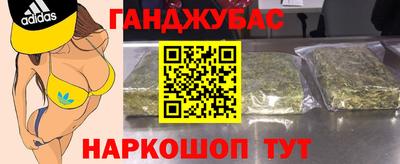 спиды Кингисепп