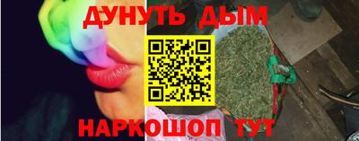 спиды Кингисепп