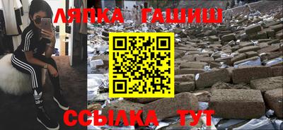 спиды Кингисепп