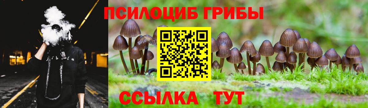 Псилоцибиновые грибы Psilocybe Когалым